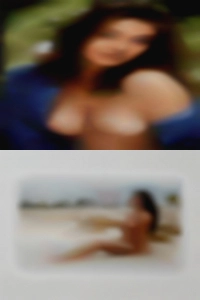Priscamarrin967, , 